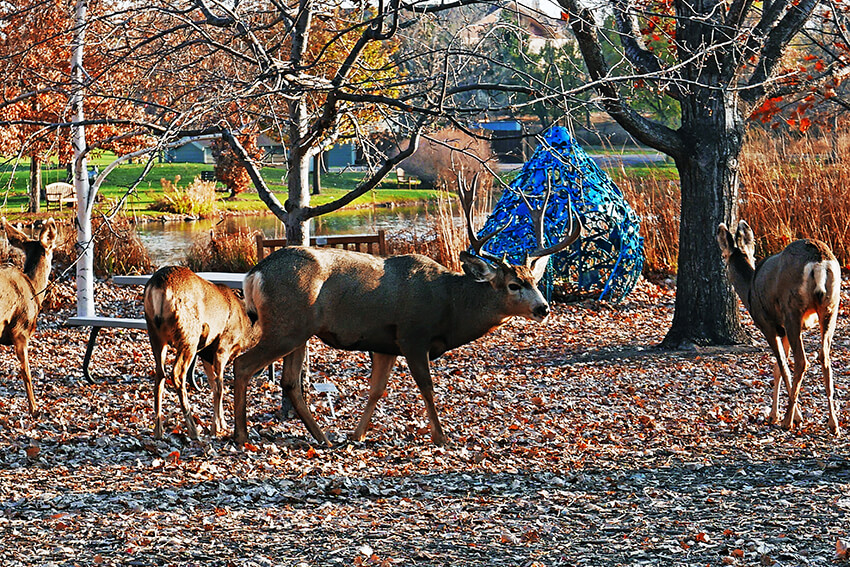 Home The Hudson Gardens Event Center