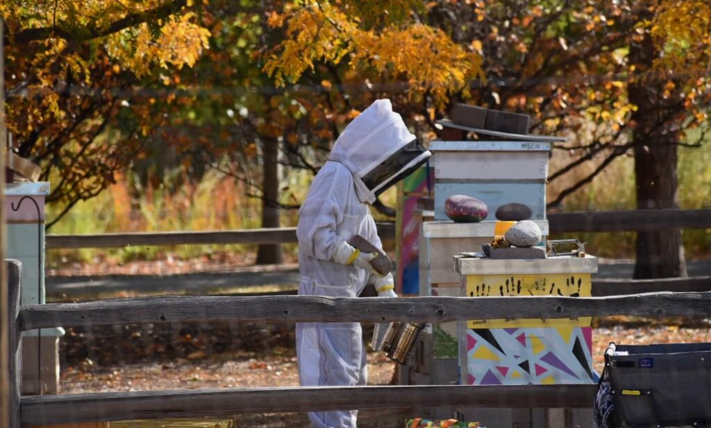 Beekeeper photo