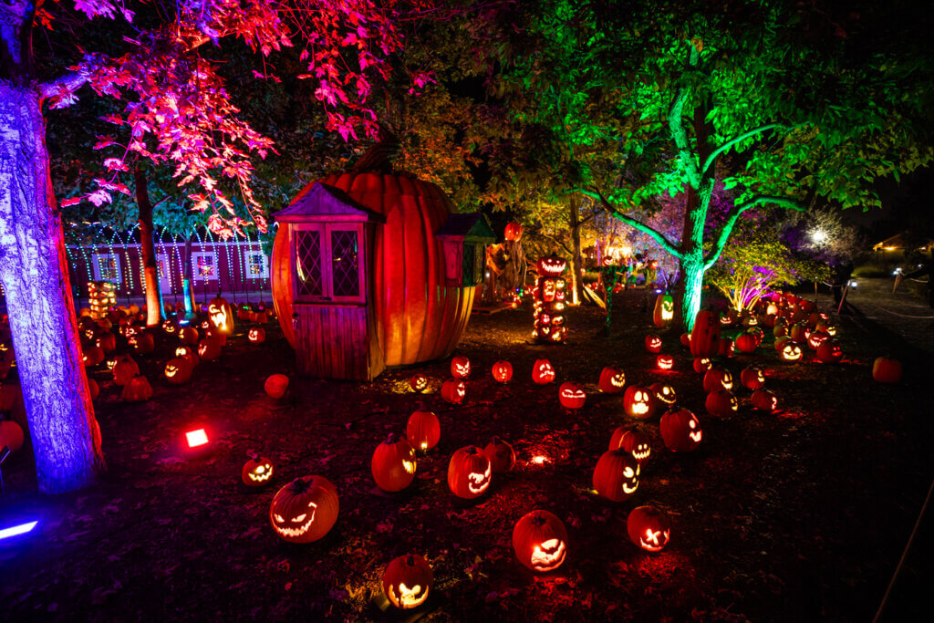 Magic of the Jack O' Lanterns