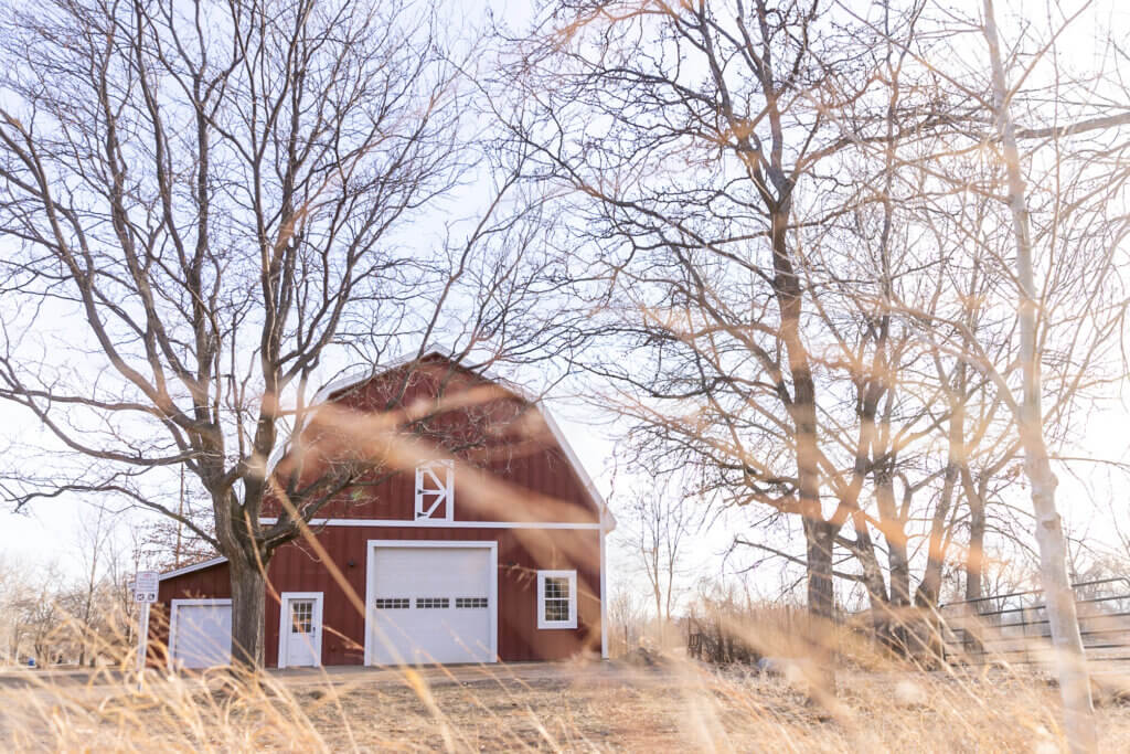 Red Barn with dry, winter grass and leafless trees