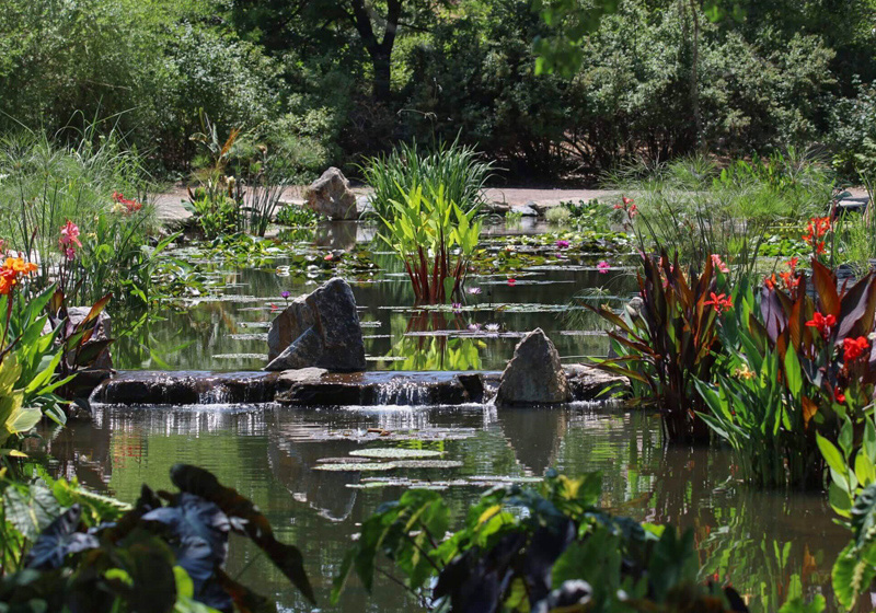 Water Garden