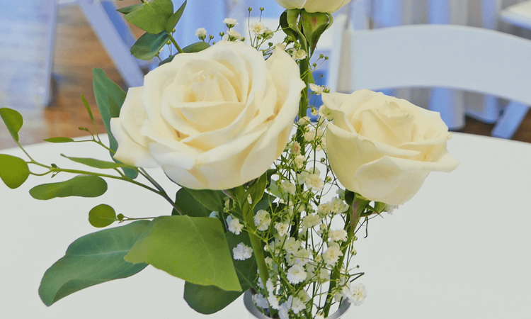 White roses