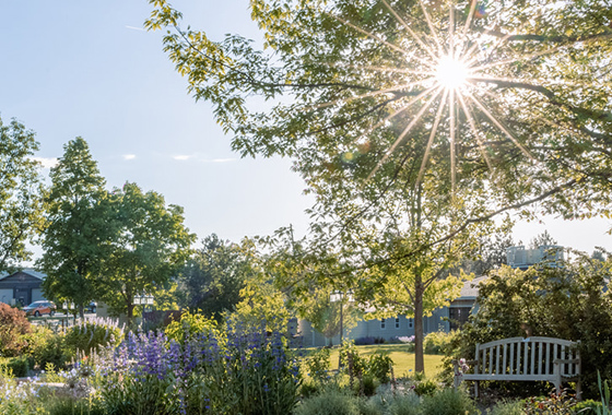 Beauty shot of gardens