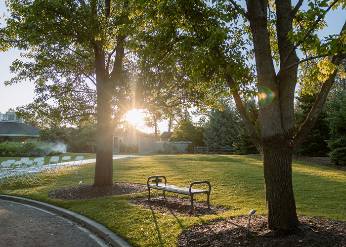 Tribute bench