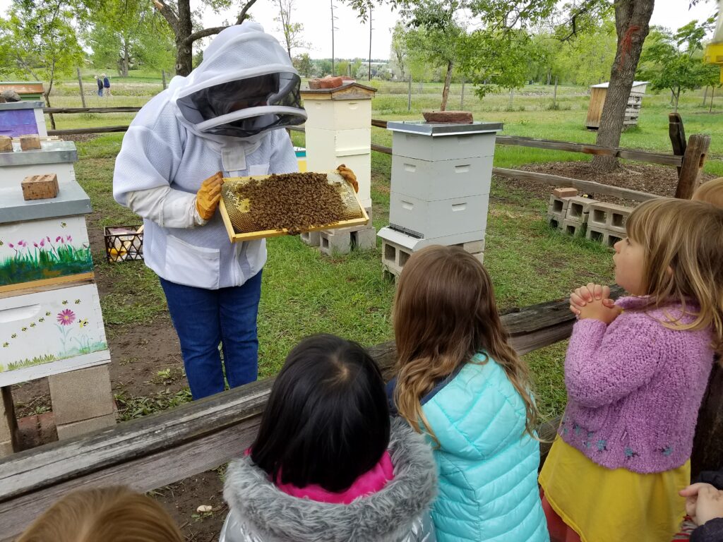 Beekeeper holding up a section of a hive for a group of children.