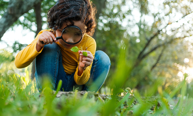 Field trip participant