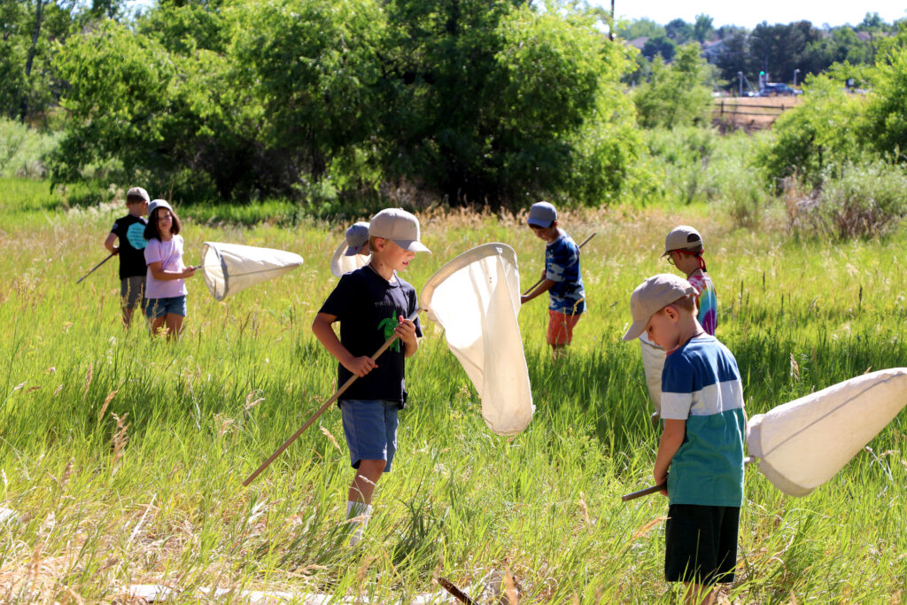 Kids with butterfly nets in a field