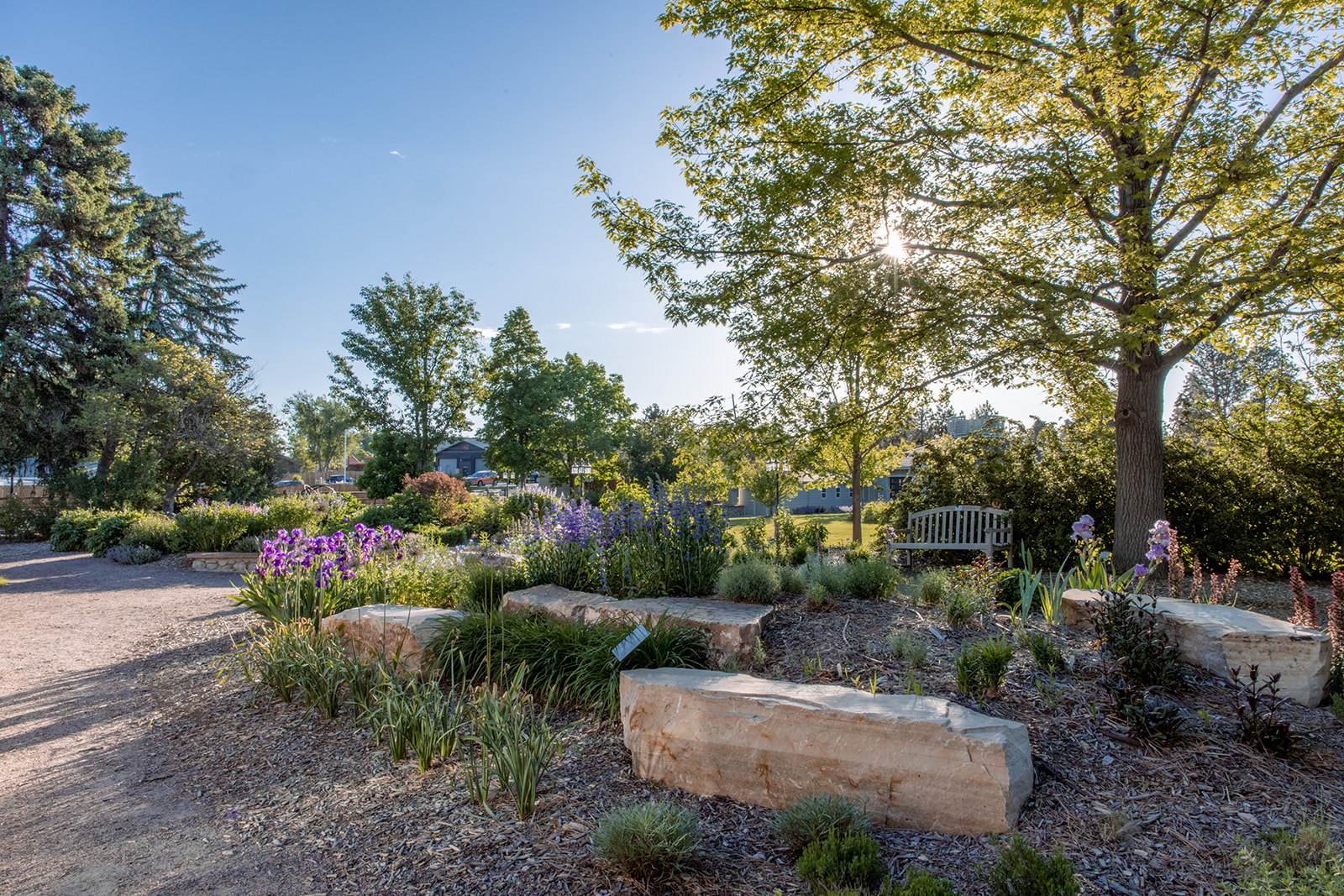 Colorado Garden at Hudson Gardens