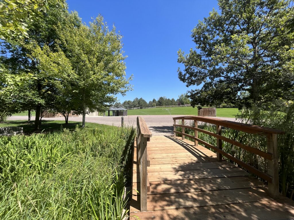 Bridge over foliage