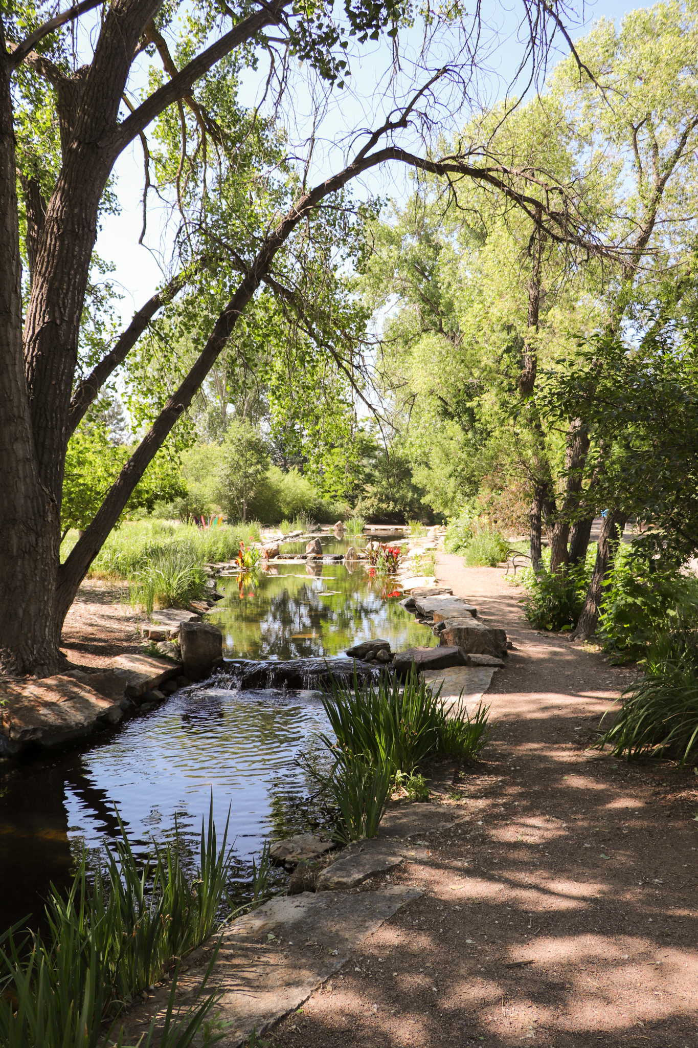 Bob's Pond and Water garden