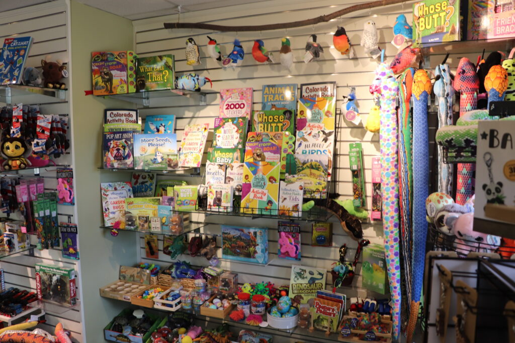 Display of kids' books and toys