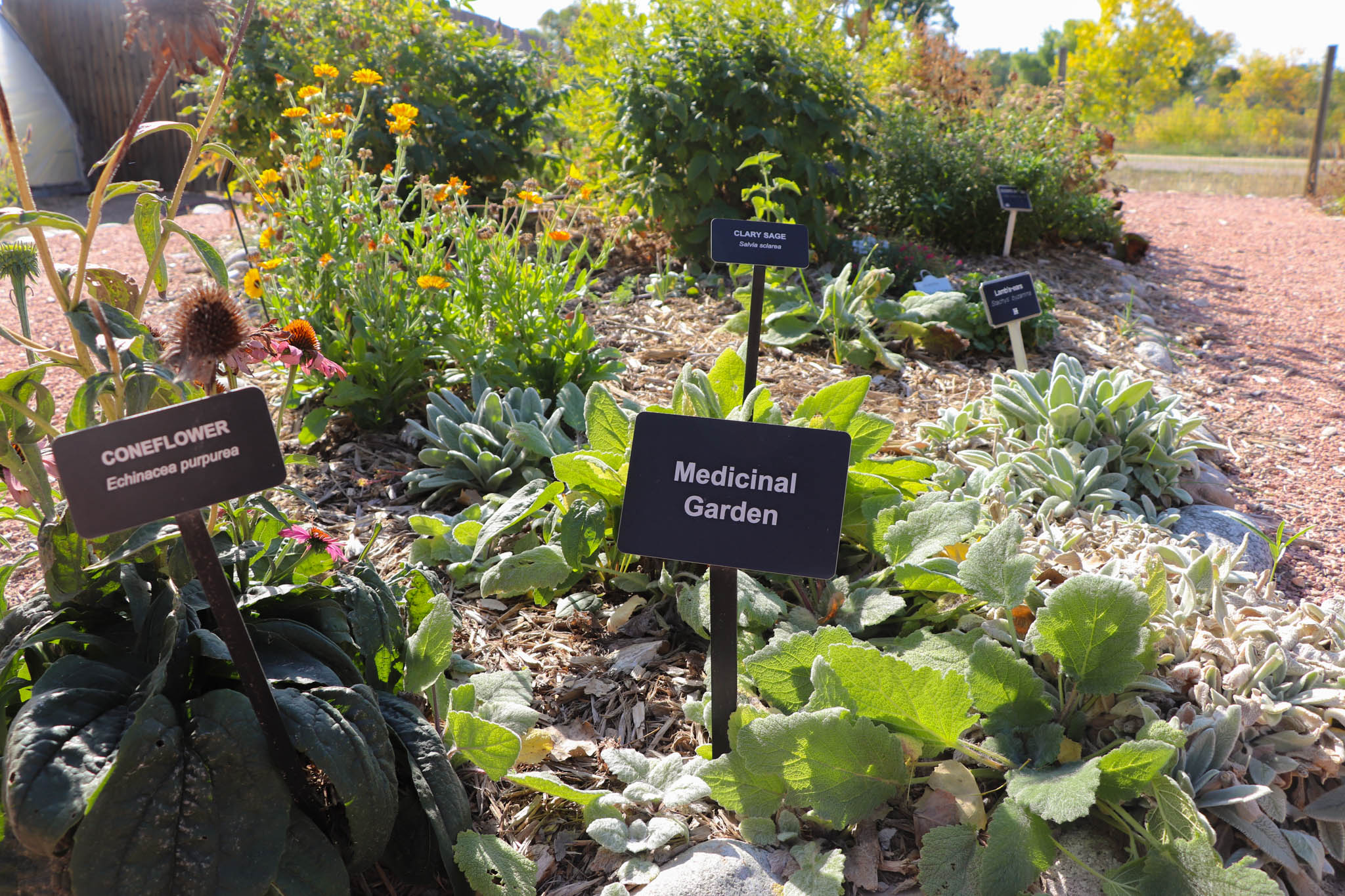 Herb garden at Hudson Gardens