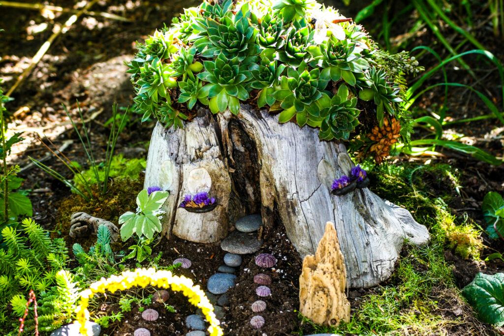 A fairy house or fairyhouse built into a tree stump and covered with green succulents.